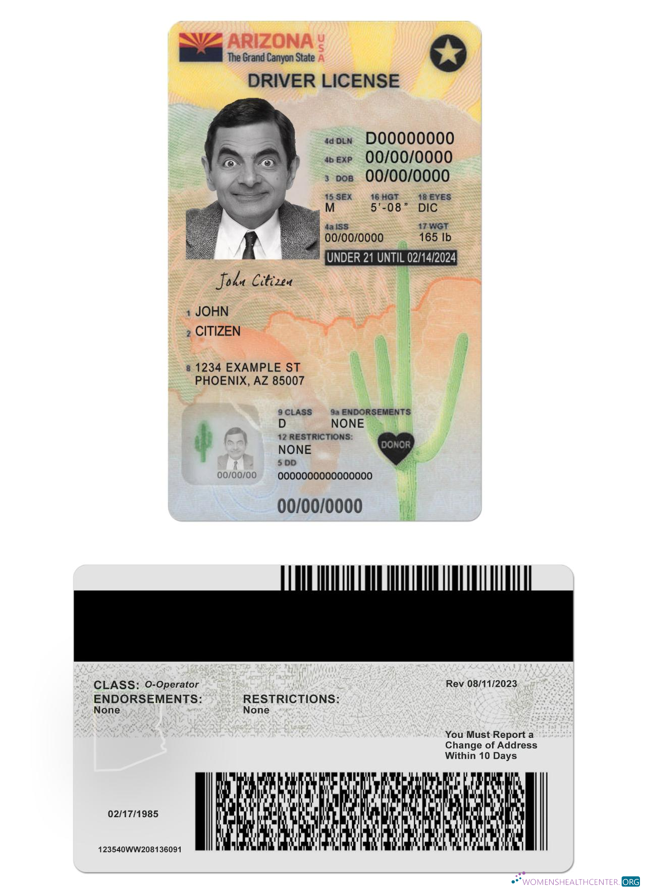 download USA Arizona driving license under 21 version 2